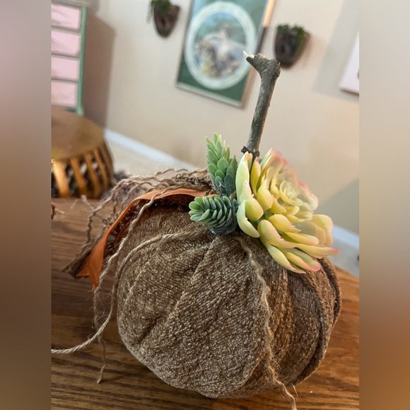 Set of 2 Handmade Succulent Chenille Fall Pumpkins - Fabric Fall Pumpkins - Boho - Picture 8 of 14